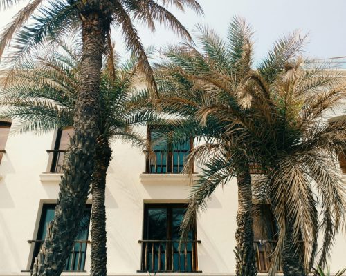 siddharth-s-MRCwPFwK8Wc-unsplash